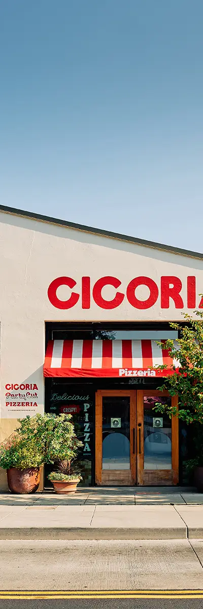 Cicoria