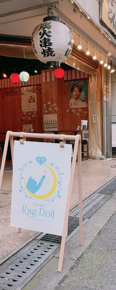 Cat Cafe "Ragdoll"